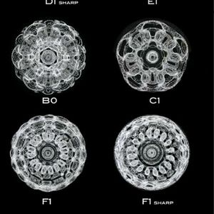 Meet your Posher, Wendy